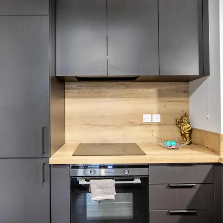 Superbe T3 Neuf Avec Balcon & Parking Апартаменты Кольмар