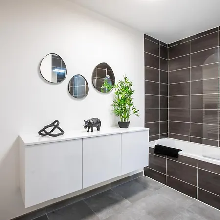 Superbe T3 Neuf Avec Balcon & Parking 科尔马