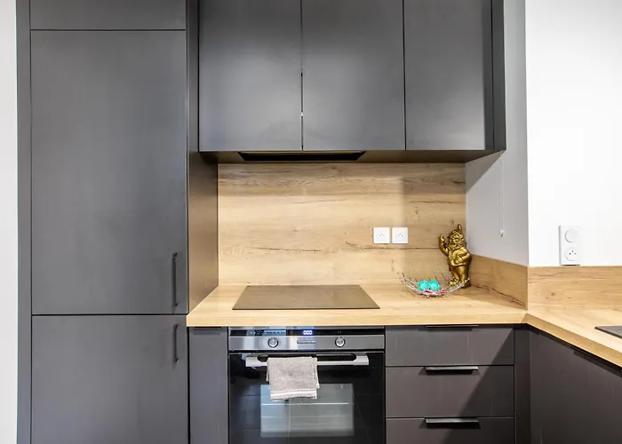 Superbe T3 Neuf Avec Balcon & Parking 公寓 科尔马