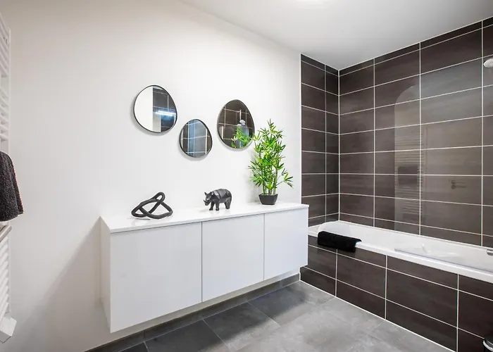 Superbe T3 Neuf Avec Balcon & Parking 科尔马