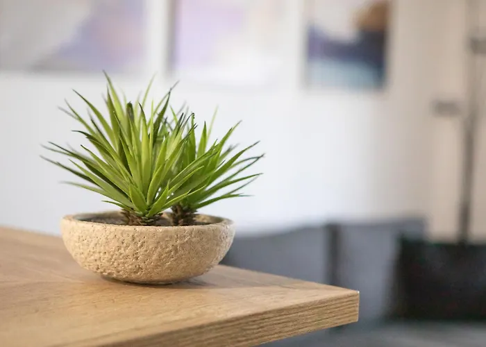 Superbe T3 Neuf Avec Balcon & Parking 公寓 *