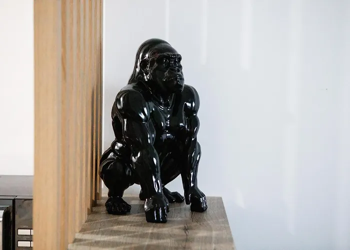 Superbe T3 Neuf Avec Balcon & Parking 科尔马